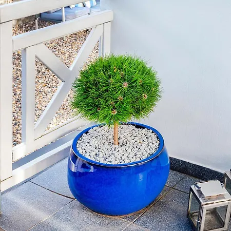 Gorka * Sklářská Poruba